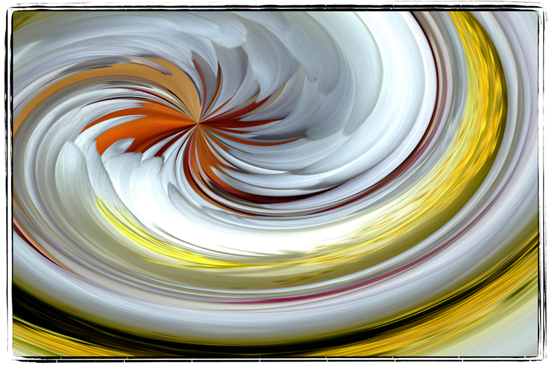 Cactus Blossom by Trudy